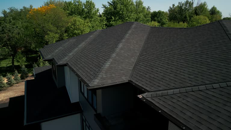 Best Commercial Roofing Services  in Ligh, NE