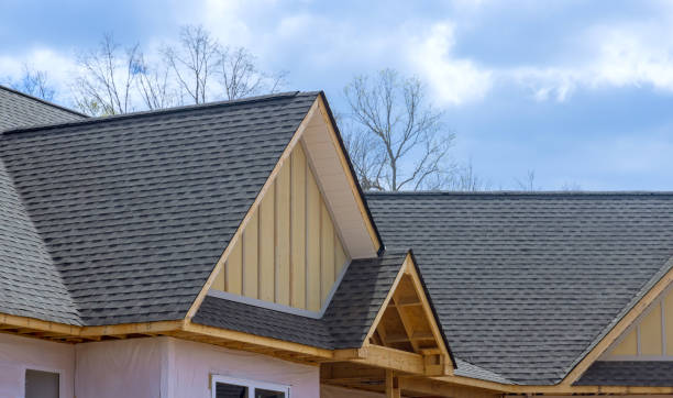 Skylights in Neligh, NE